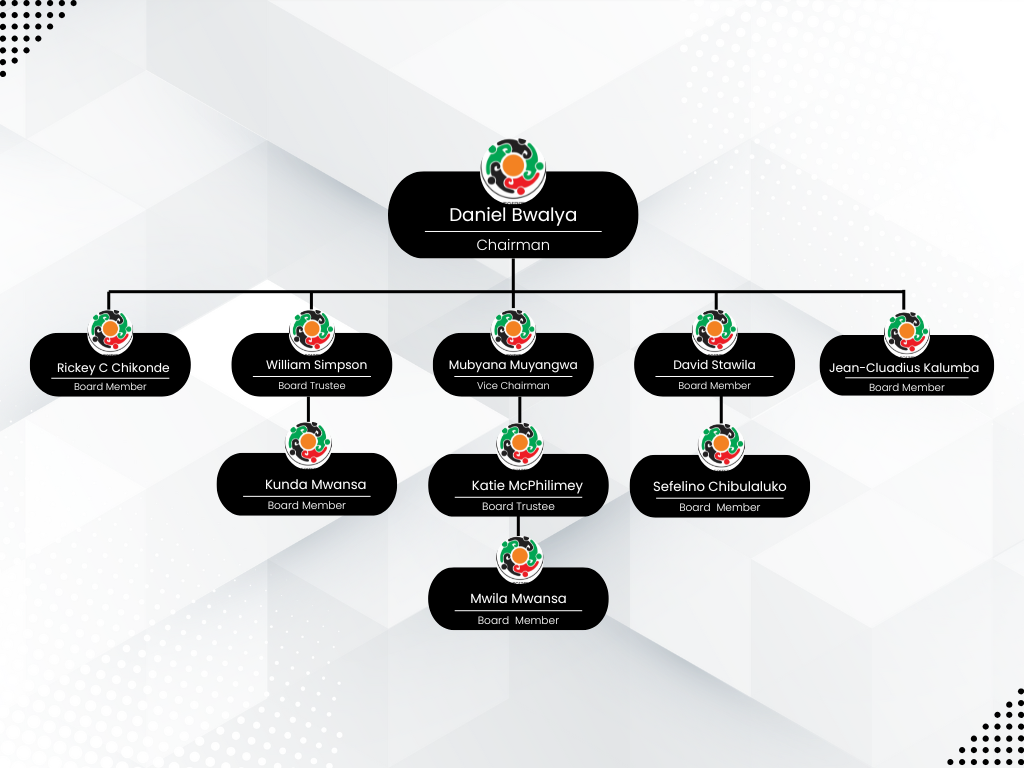 Kyeya Foundation Board Structure