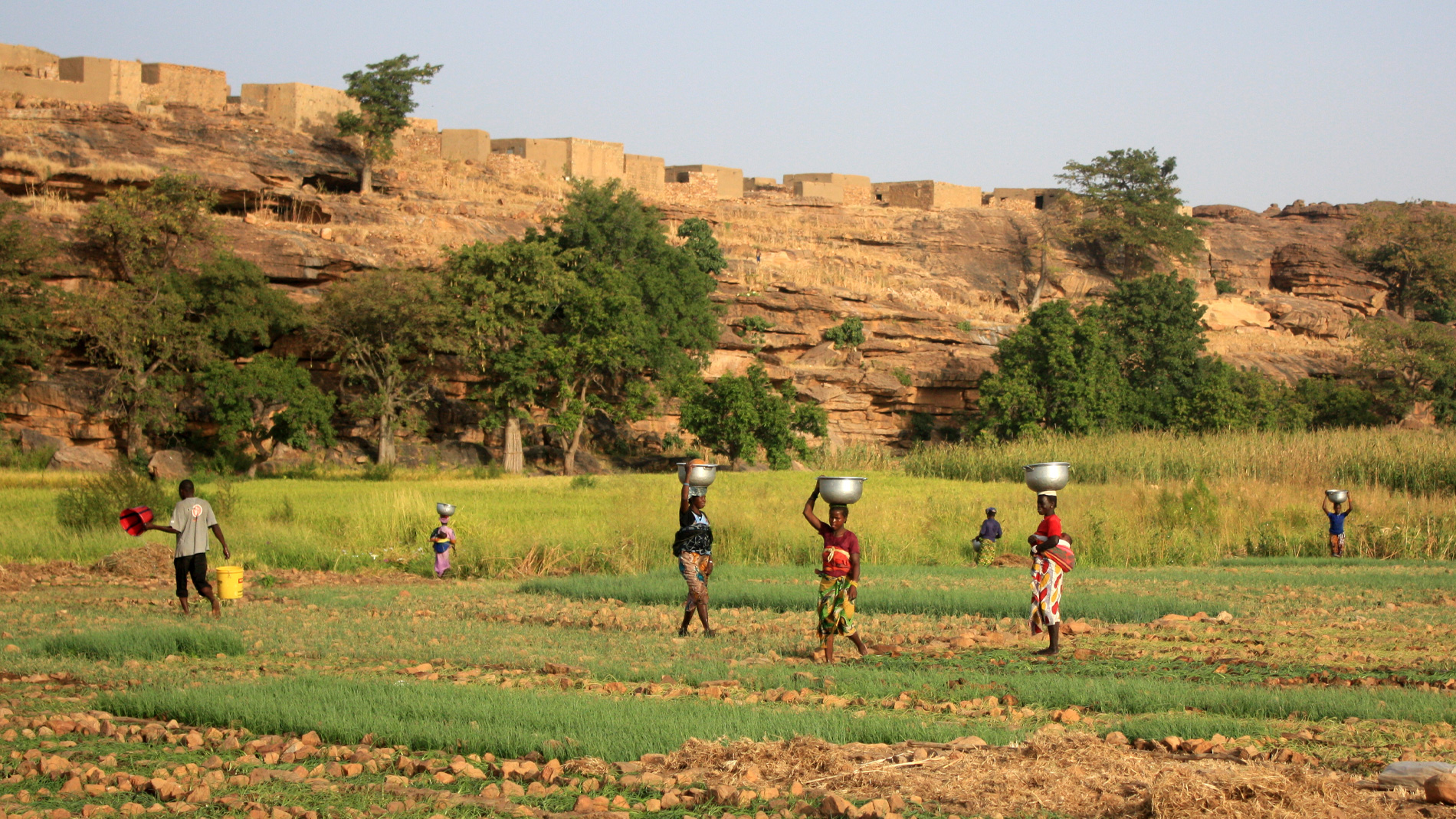 Community Development