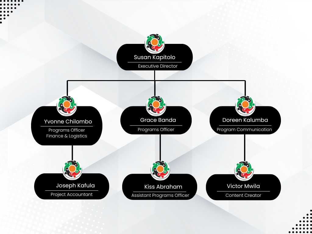 Kyeya Foundation Leadership Structure